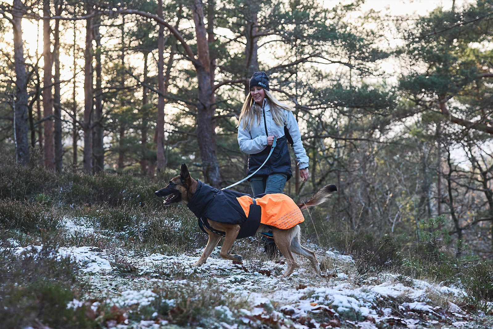 Glacier jacket 2.0 Non-stop dogwear Pastor alemán