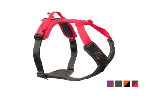 Non-stop dogwear Ramble harness – Arnés Ajustable y Versátil para Perros en Colombia