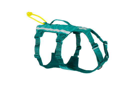 Arnés turquesa perro Ramble harness long Non-stop dogwear