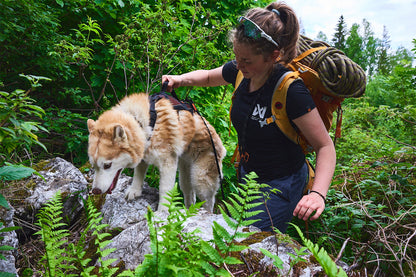 Rock harness long trekking