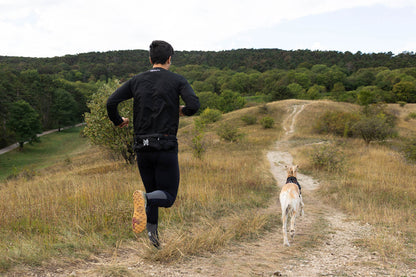 Non-stop dogwear Trail light Belt – Cinturón Multifuncional para Trail Running, Canicross y Trekking con Perros