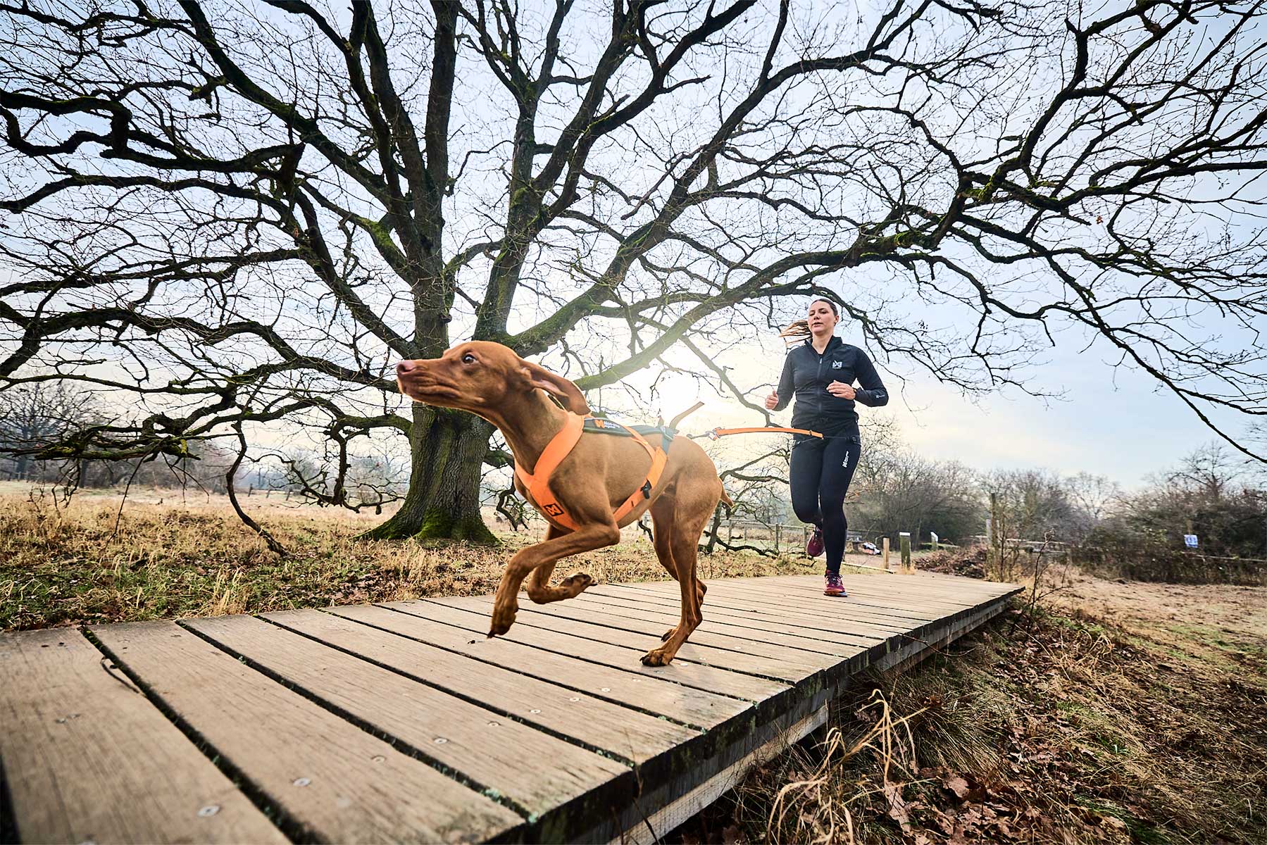 Chica haciendo canicross con su perro y las CaniX long tights Non-stop dogwear 
