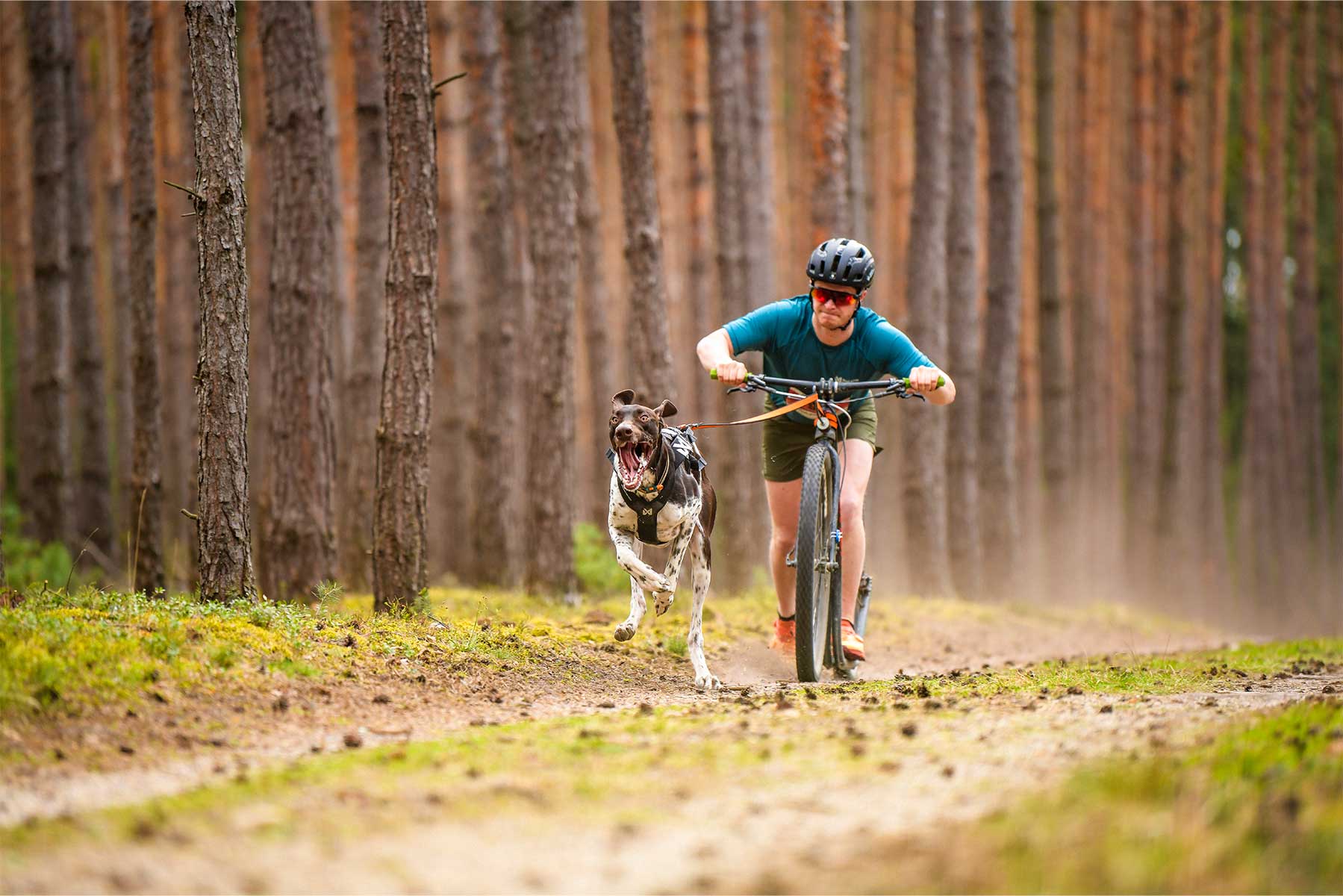 Camiseta CaniX Tech tee teal Men's scooter con 1 perro