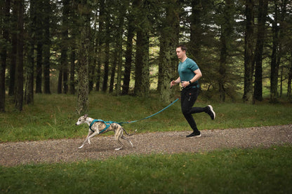 Camiseta CaniX Tech tee teal Men's canicross con 1 perro en el bosque