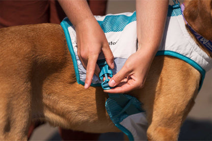 Chica cerrando el clic del Non-stop-dogwear cooling vest