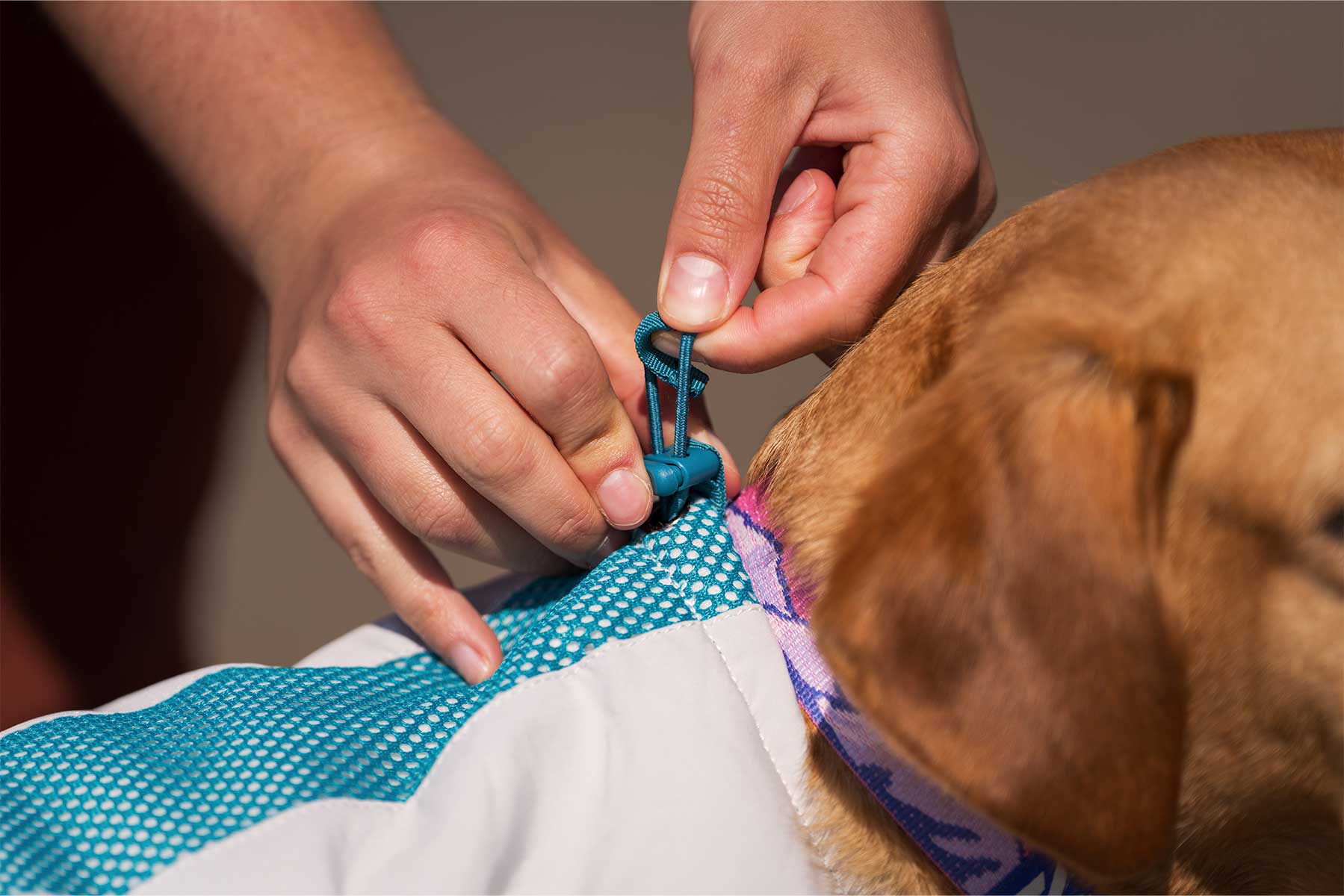 Chica ajustando el cuello del Non-stop-dogwear cooling vest