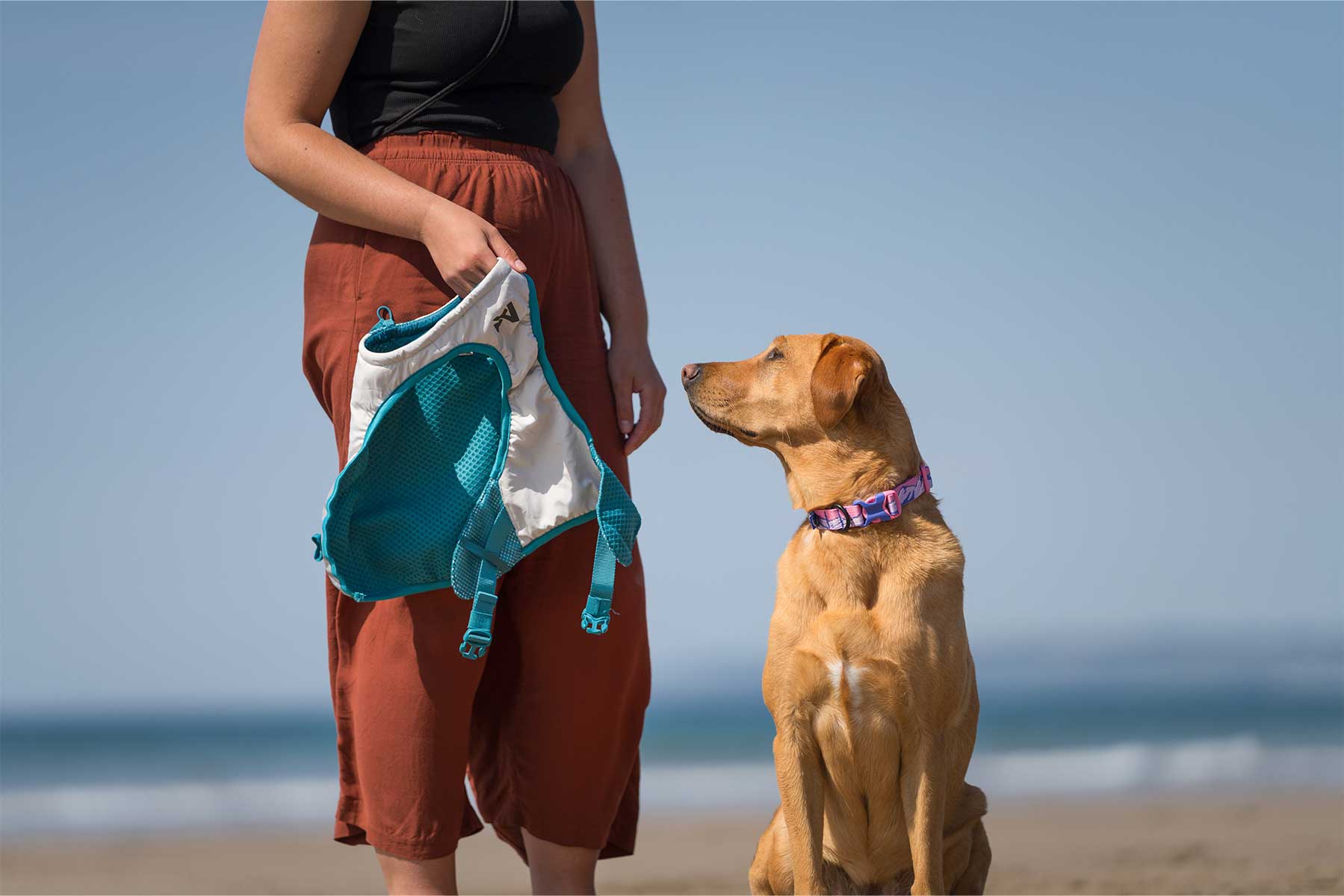 Perro sentado esperando a que le pongan el Non-stop-dogwear cooling vest