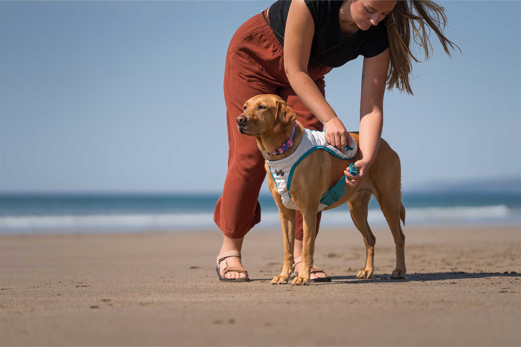 Chica poniendo a su perro el Non-stop-dogwear cooling vest