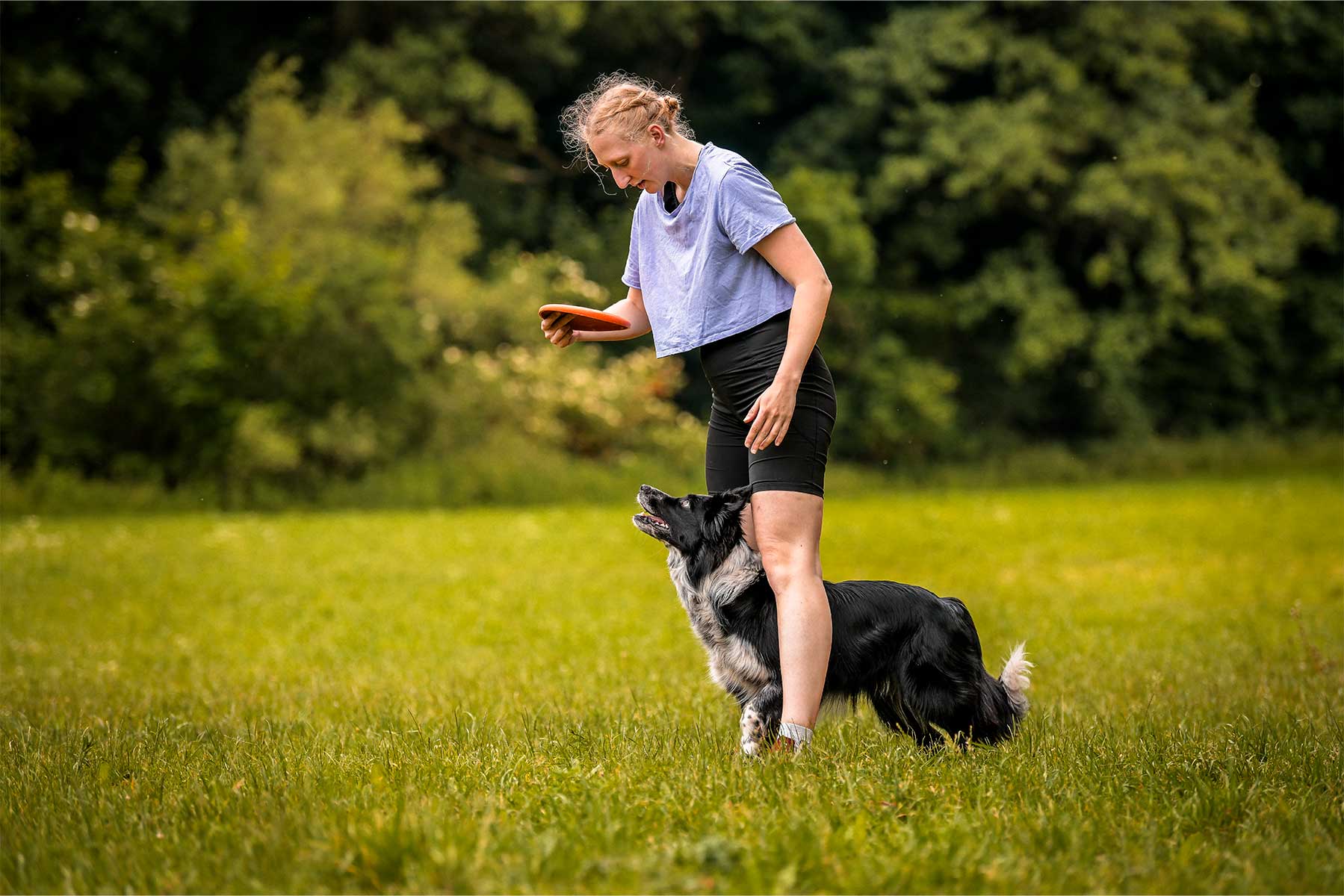 Chica jugando con su perro con un frisbee Non-stop dogwear