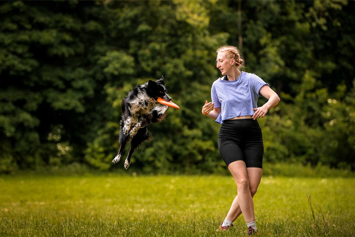 Perro cogiendo el aire el frisbee que lanza su tutora