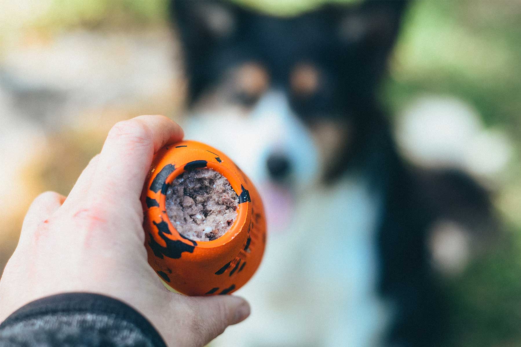 Dog throw toy relleno de comida húmeda para perros