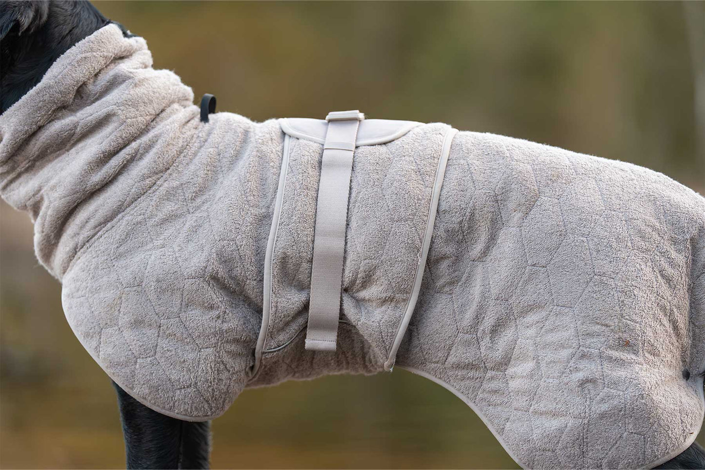 Perro usando el albornoz Non-stop dogwear drying coat 