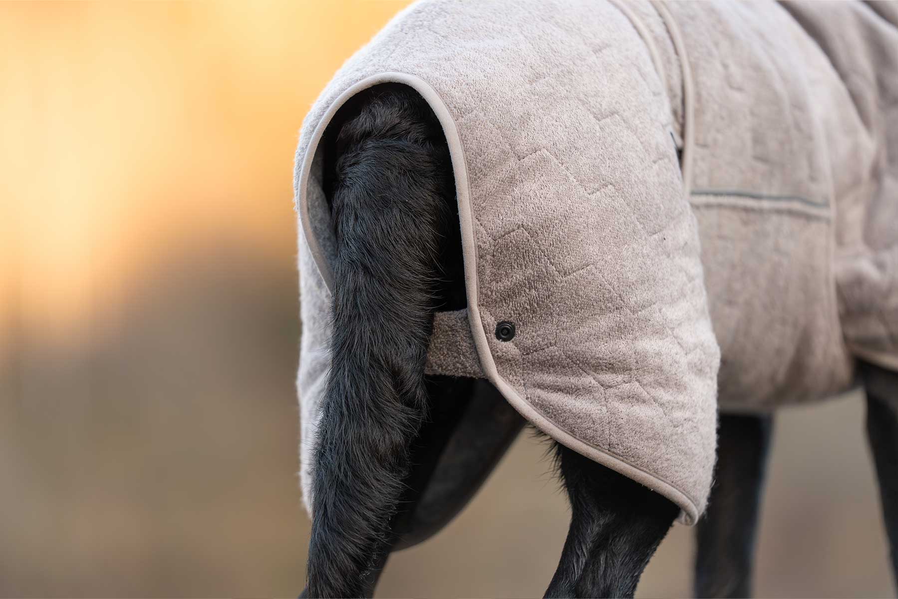 Parte trasera Non-stop dogwear drying coat 