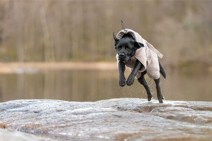Perro corriendo con el Non-stop dogwear drying coat 