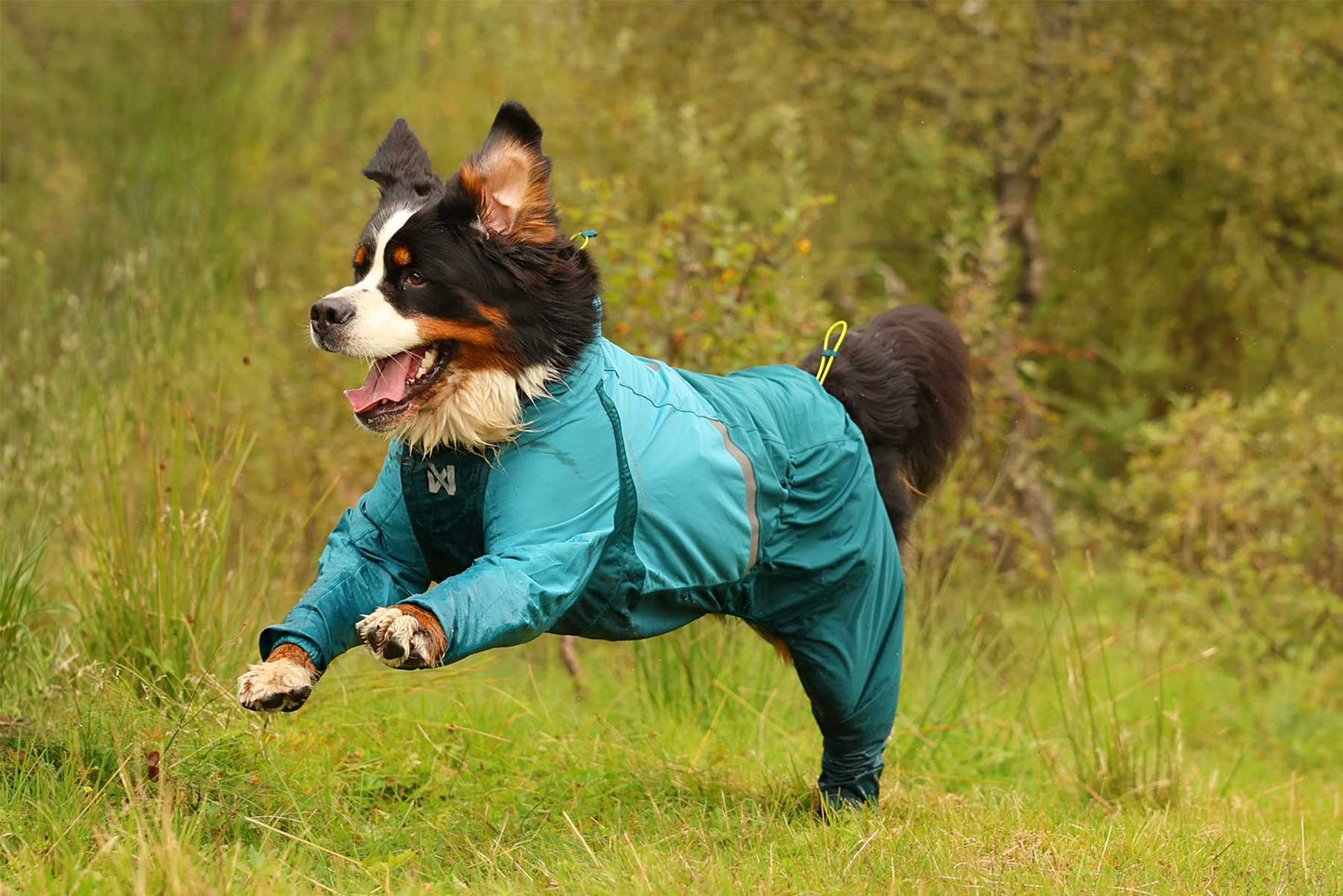 Terranova corriendo con el Impermeable de cuerpo completo Fjord overall teal Non-stop dogwear