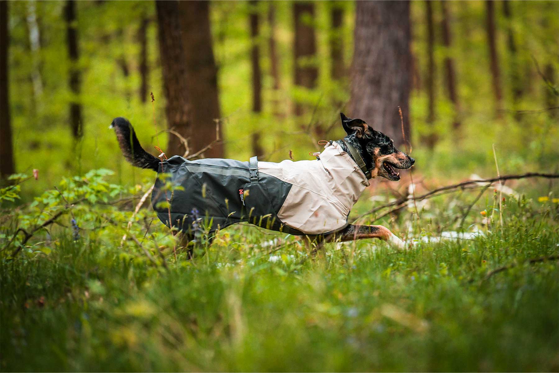 Perro corriendo en el campo con Non-stop dogwear Fjord raincoat 2.0 gris