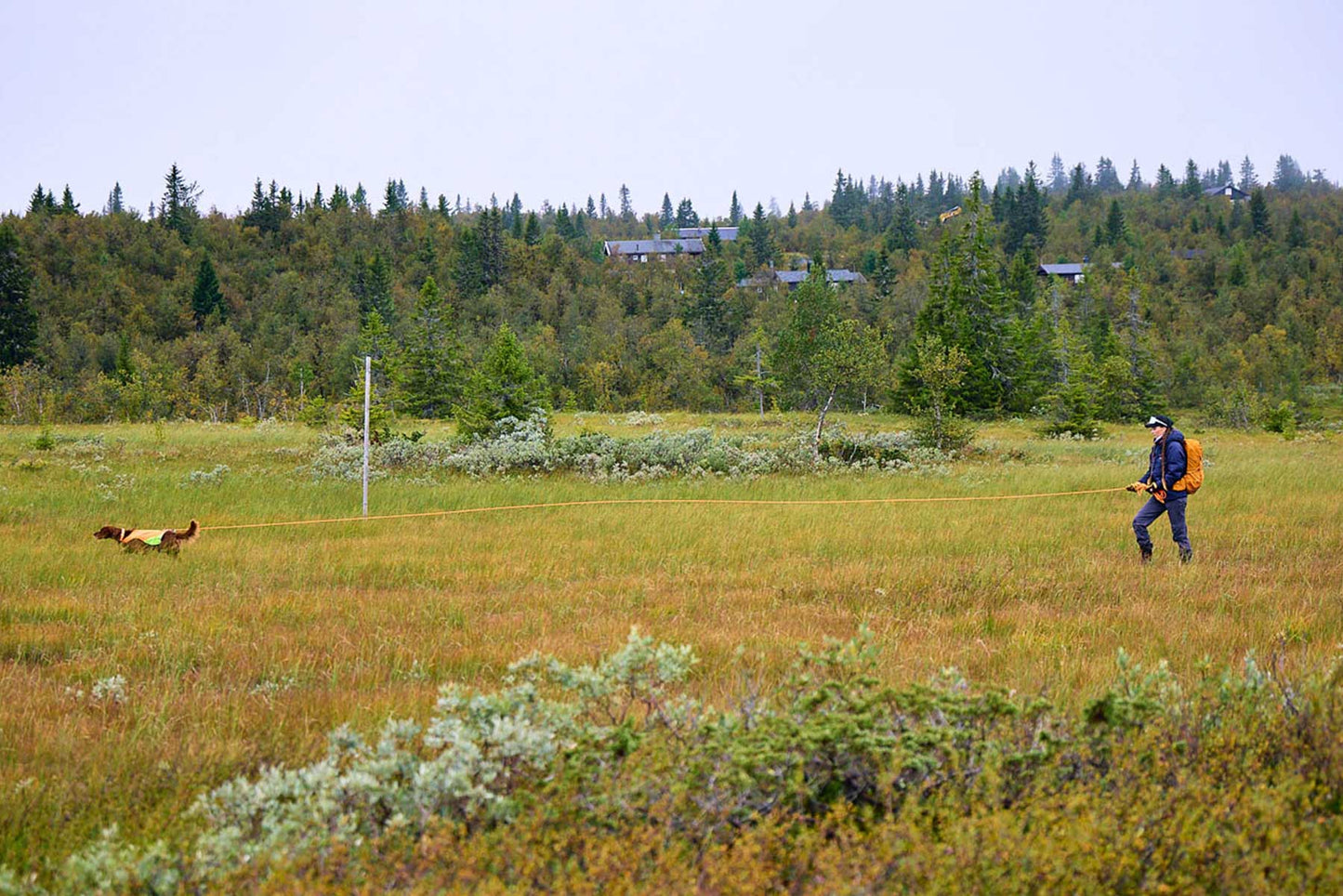 Chica usando una Correa larga Protector round long line Non-stop dogwear en el campo