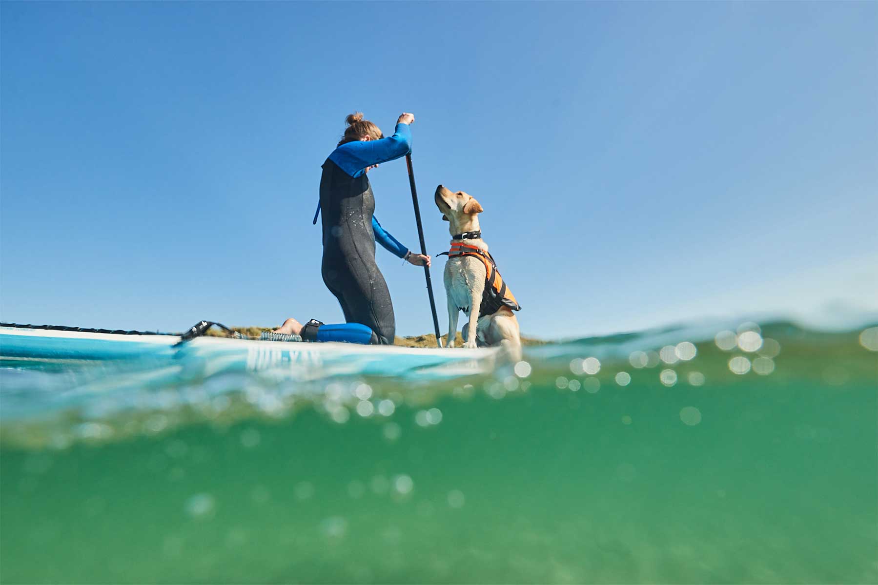 Chica practicando padle surf con su labrador con Non-stop dogwear Safe life jacket 2.0