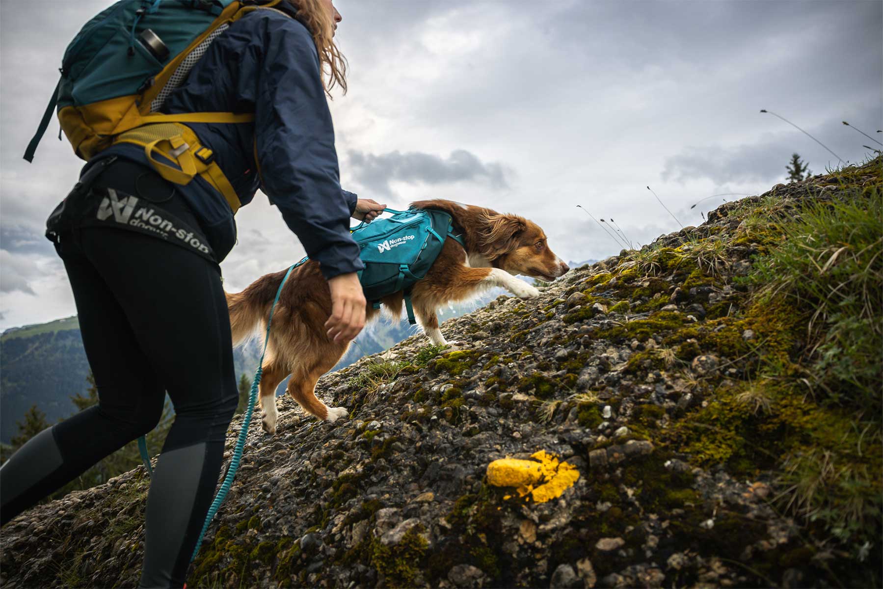 Chica ayudando a su perro a superar una pendiente en la montaña con la mochila Non-stop dogwear Trail dog backpack