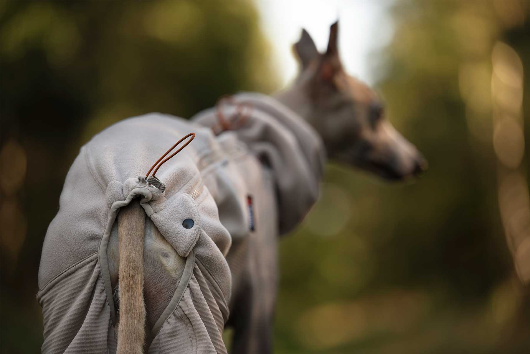 Perro desde atrás usando el Trail quest fleece overall de Non-stop dogwear