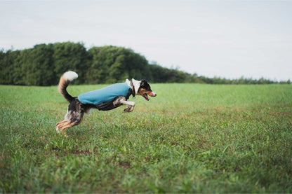 Perro saltando con forro polar Non-stop dogwear Trail quest fleece pullover