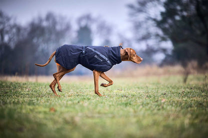 Perro en posición de muestra con un abrigo negro Non-stop dogwear trekking insulated dog jacket