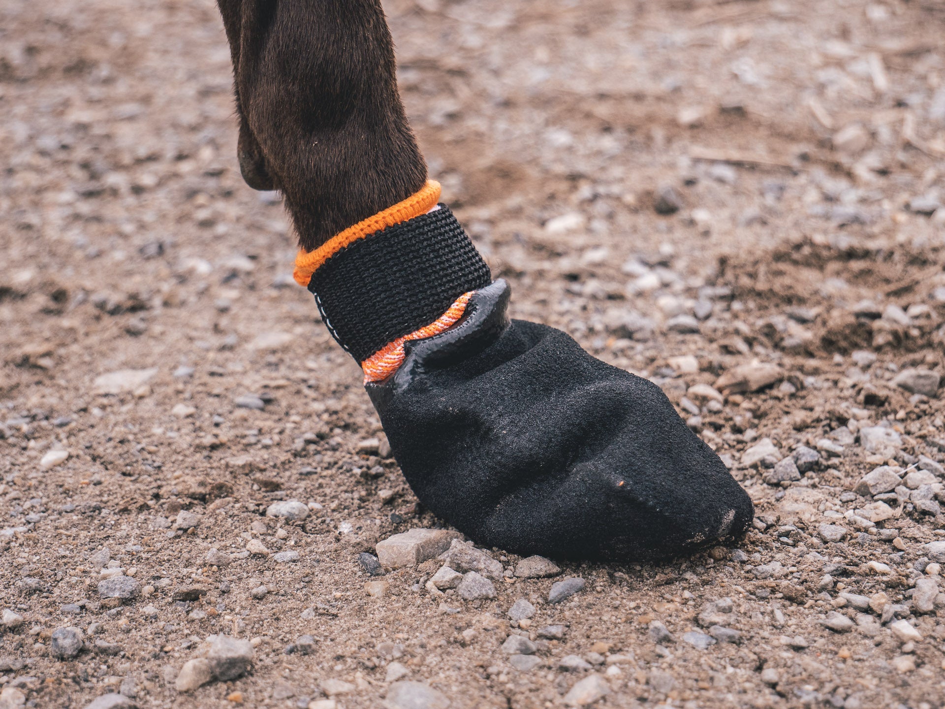 Protector booties