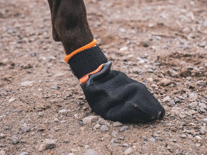 Protector booties