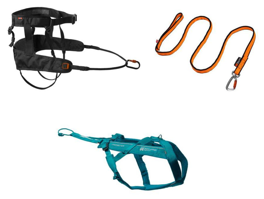 Canix_belt_2_0_bungee_leash_orange_freemotion_harness_5_0
