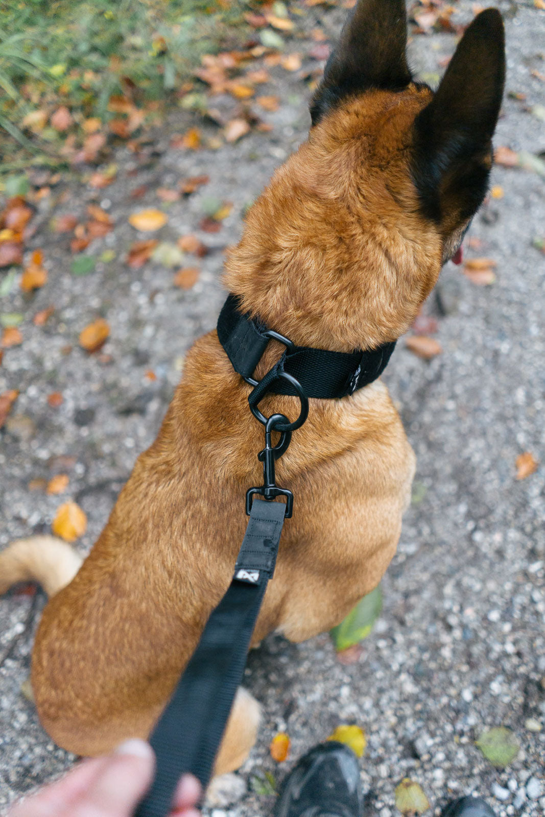 Security Strap