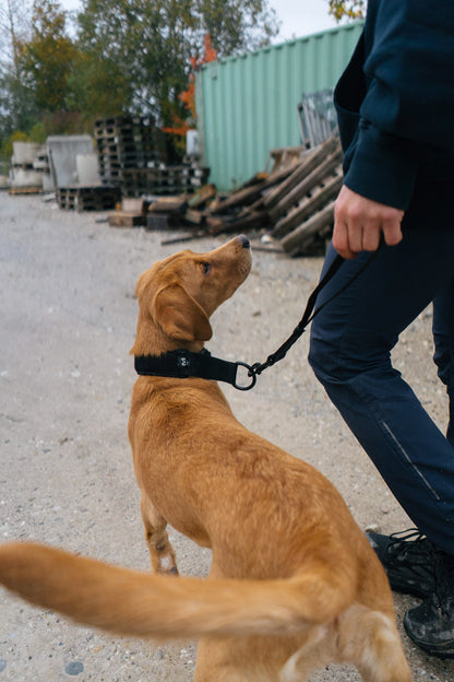 Security Strap