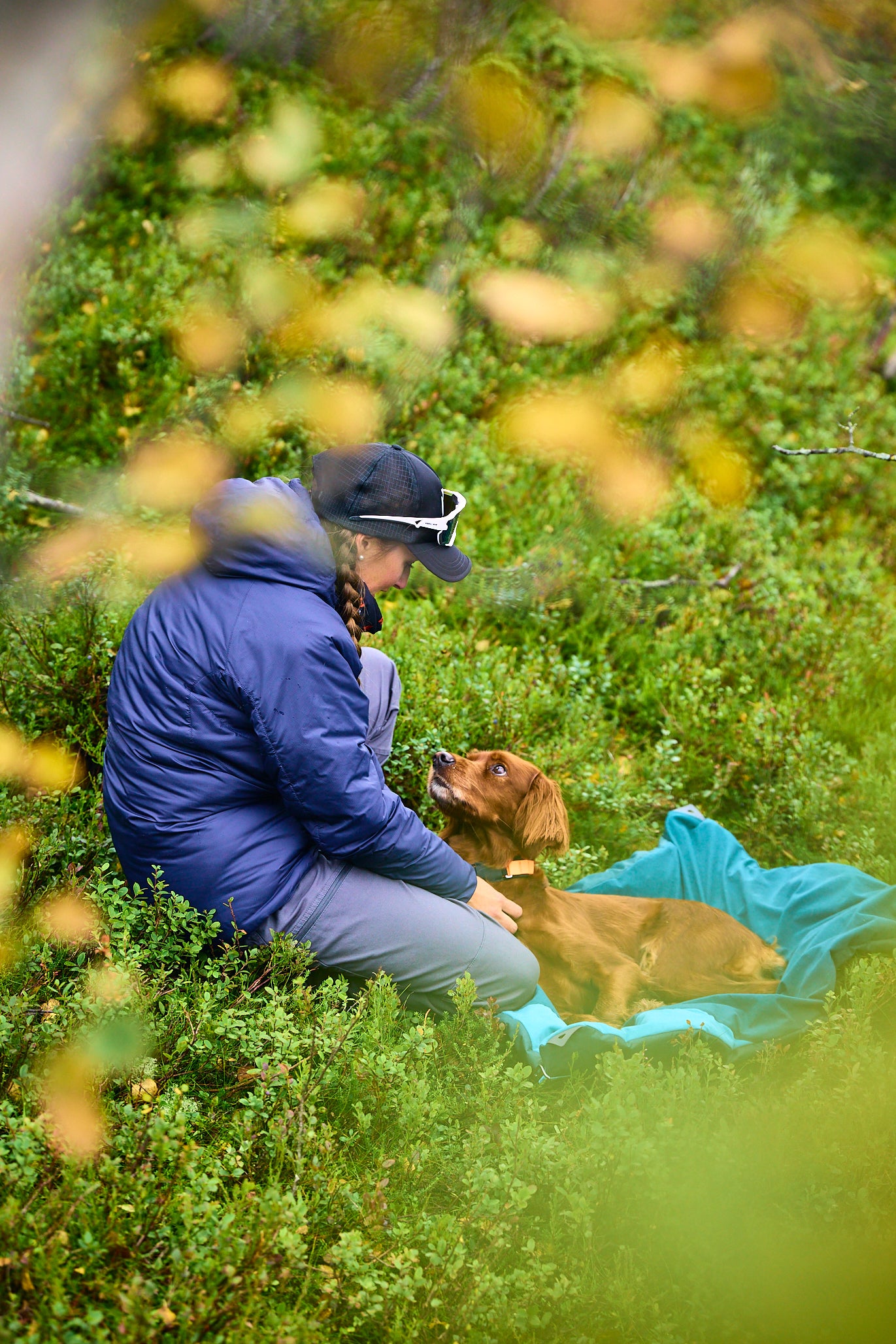 Perro descansando sobre cama impermeable para camping y senderismo