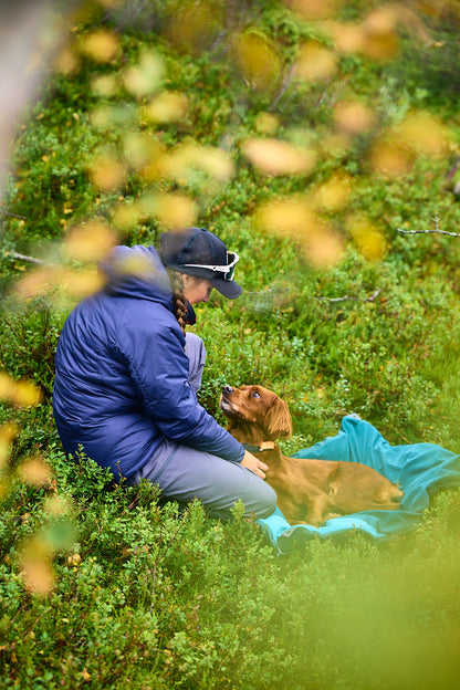Perro descansando sobre cama impermeable para camping y senderismo
