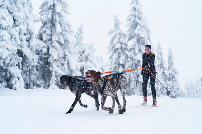 Skijoring con dos bracos