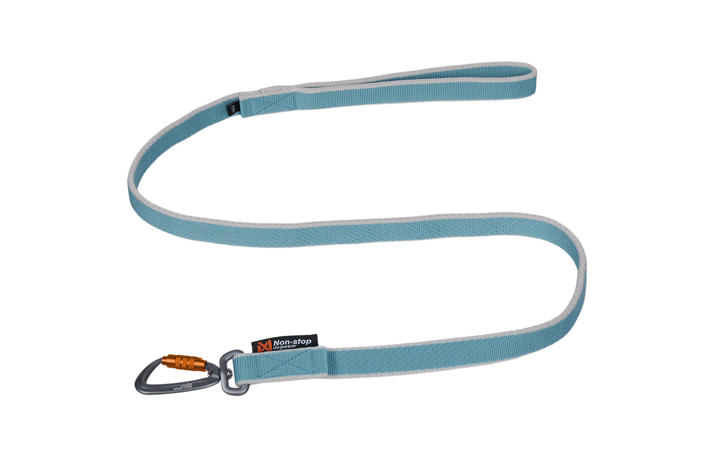 Bungee Leash Ice Blue
