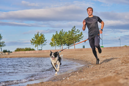 Hombre corriendo canicross