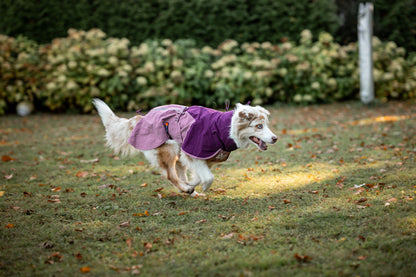 Non-stop dogwear Fjord raincoat 2.0 – Impermeable para Perros con Alta Transpirabilidad