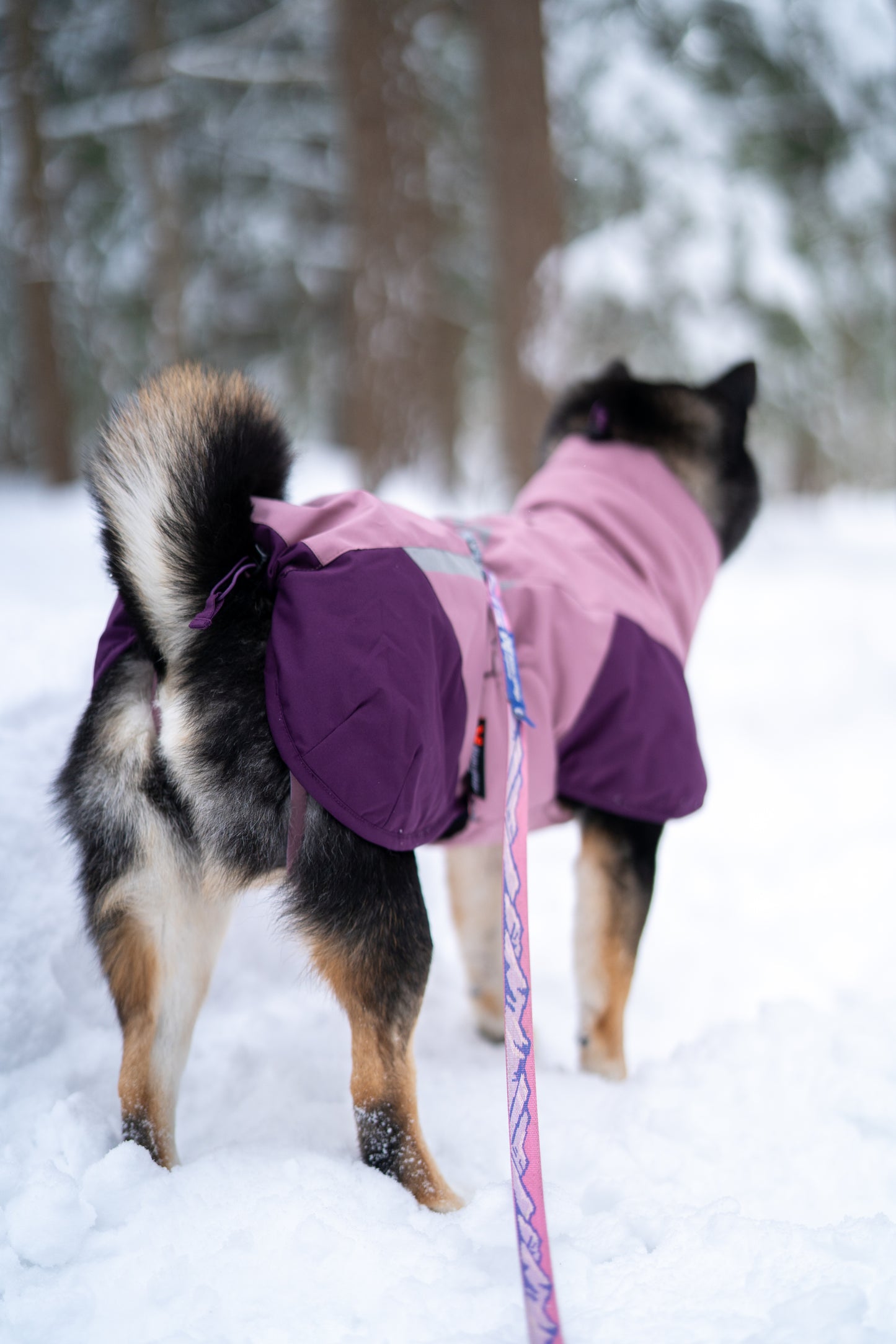 Glacier jacket 3.0