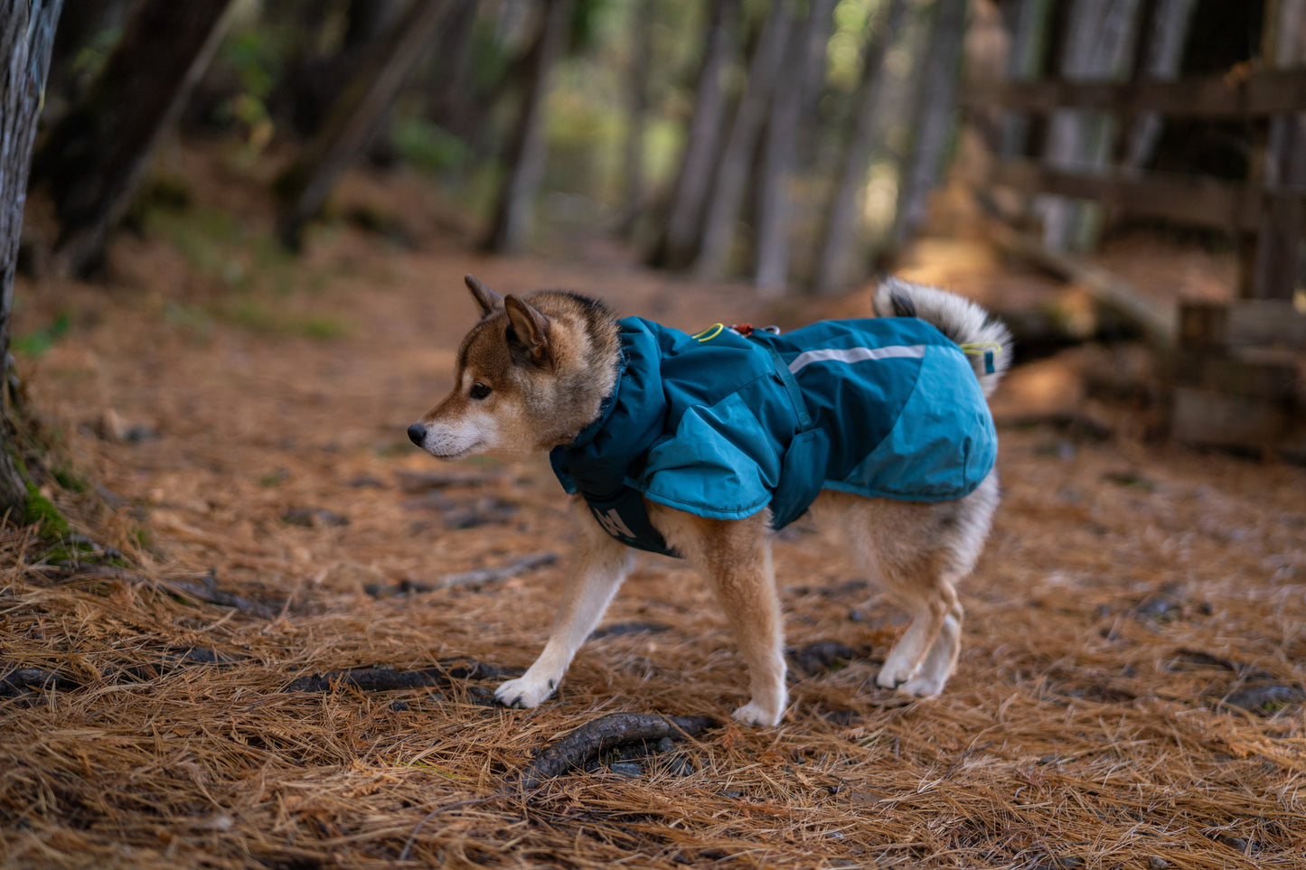 Glacier jacket 3.0