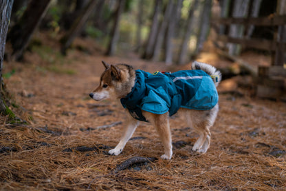 Glacier jacket 3.0