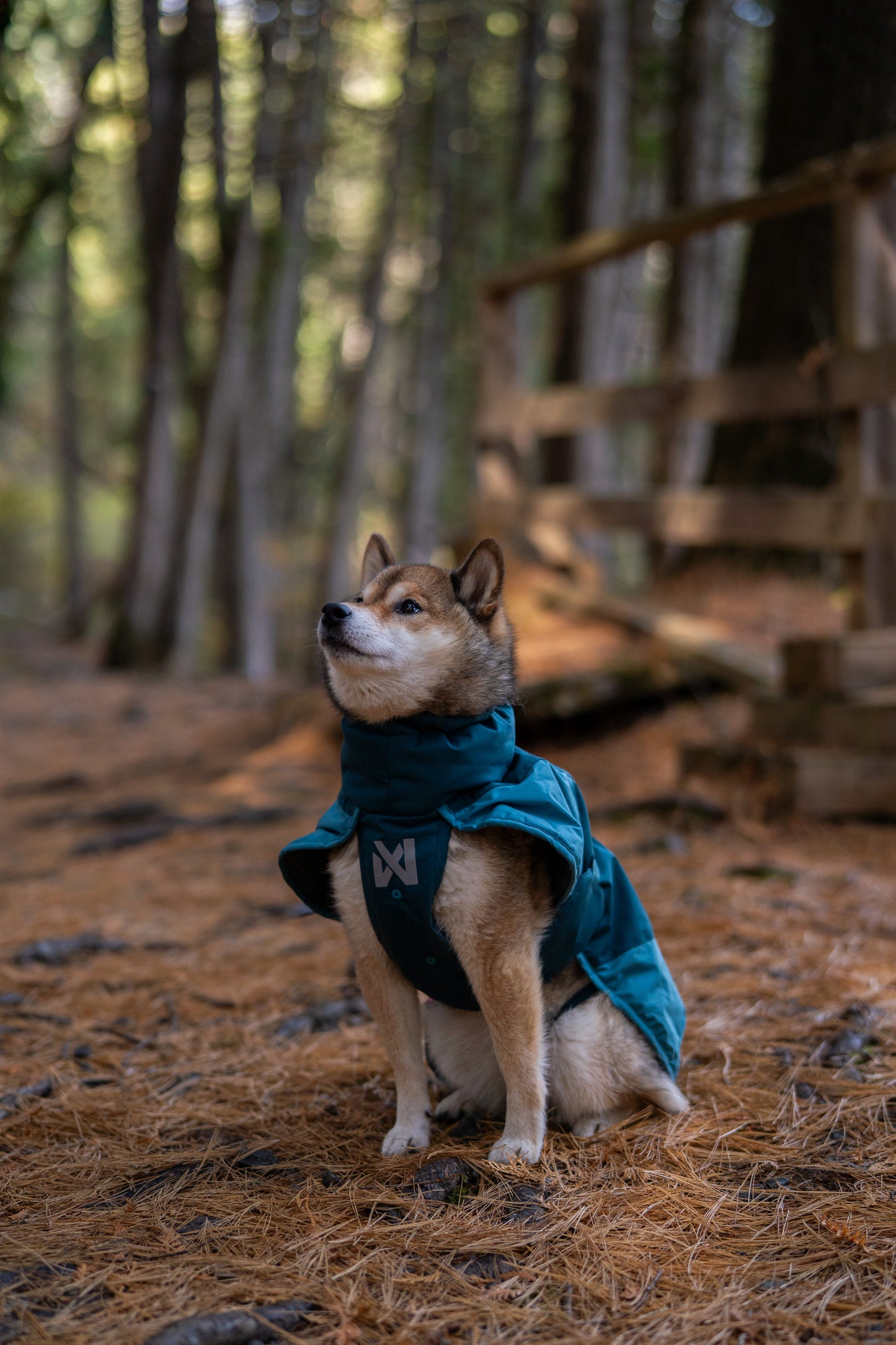 Glacier jacket 3.0