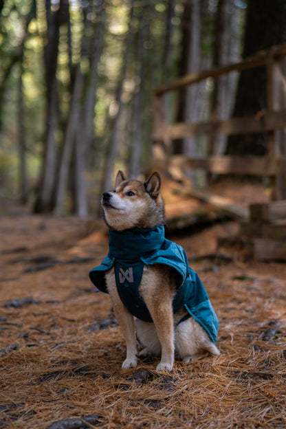 Glacier jacket 3.0