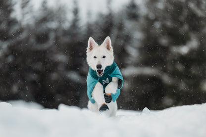 Glacier jacket 3.0