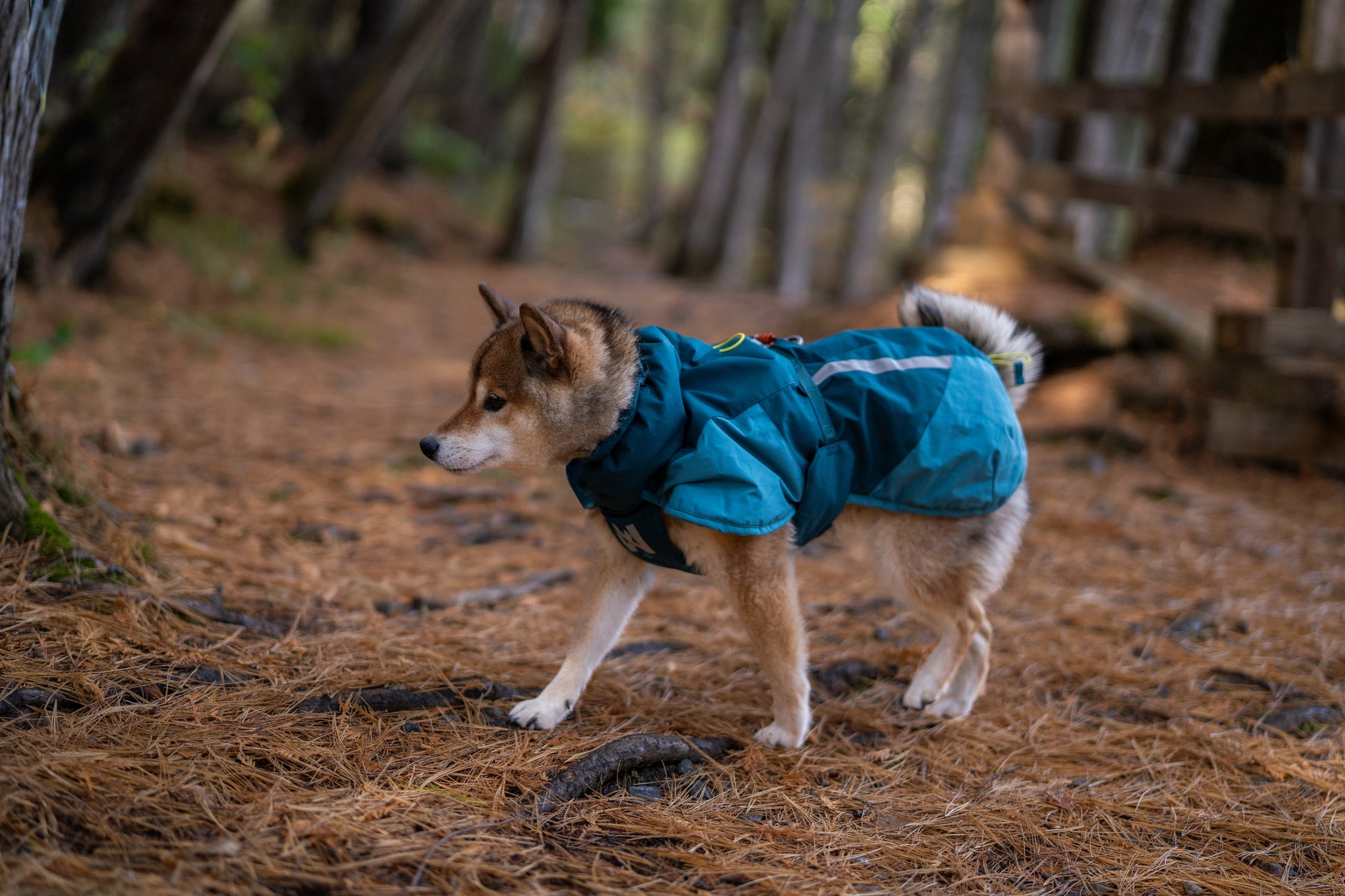 Detalle de los ajustes ergonómicos y materiales térmicos de la Glacier Jacket 3.0