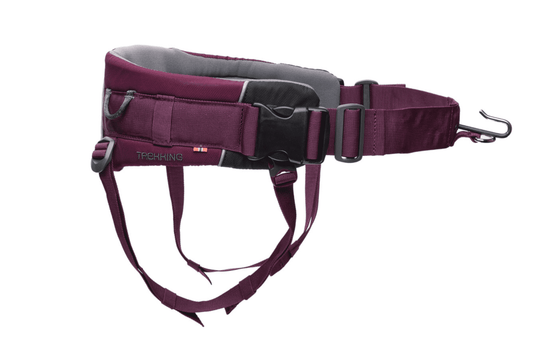 Trekking belt 2.0 morado