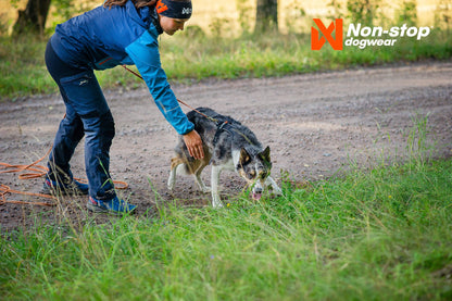 Perro haciendo rastro line harness 5.0