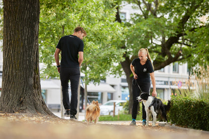 Sujetando border collie line harness grip