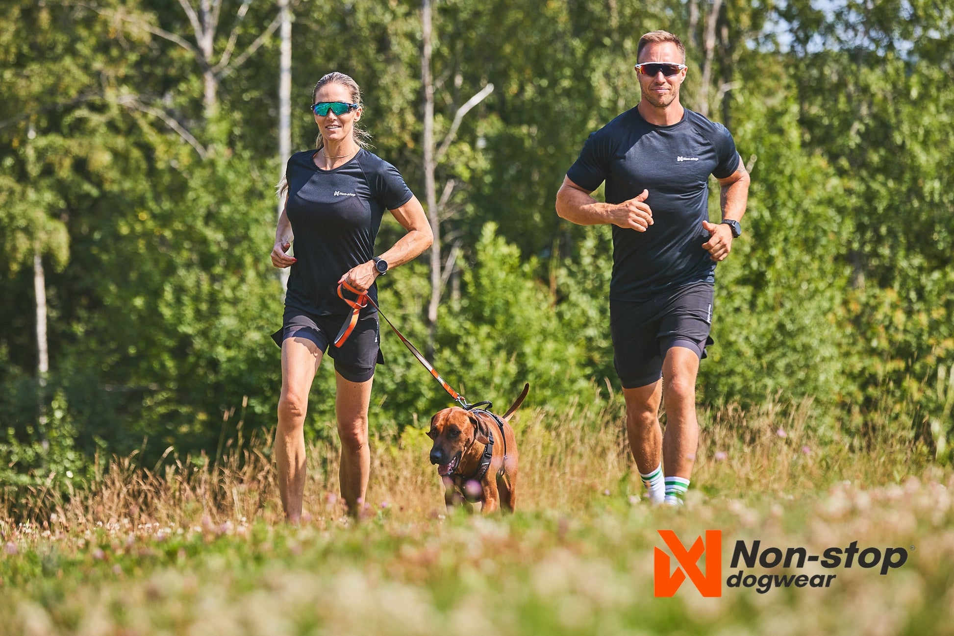 Footing con move leash