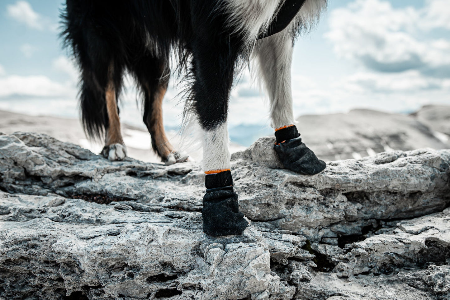 Protector booties non-stop