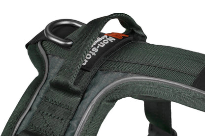 Asa Ramble harness